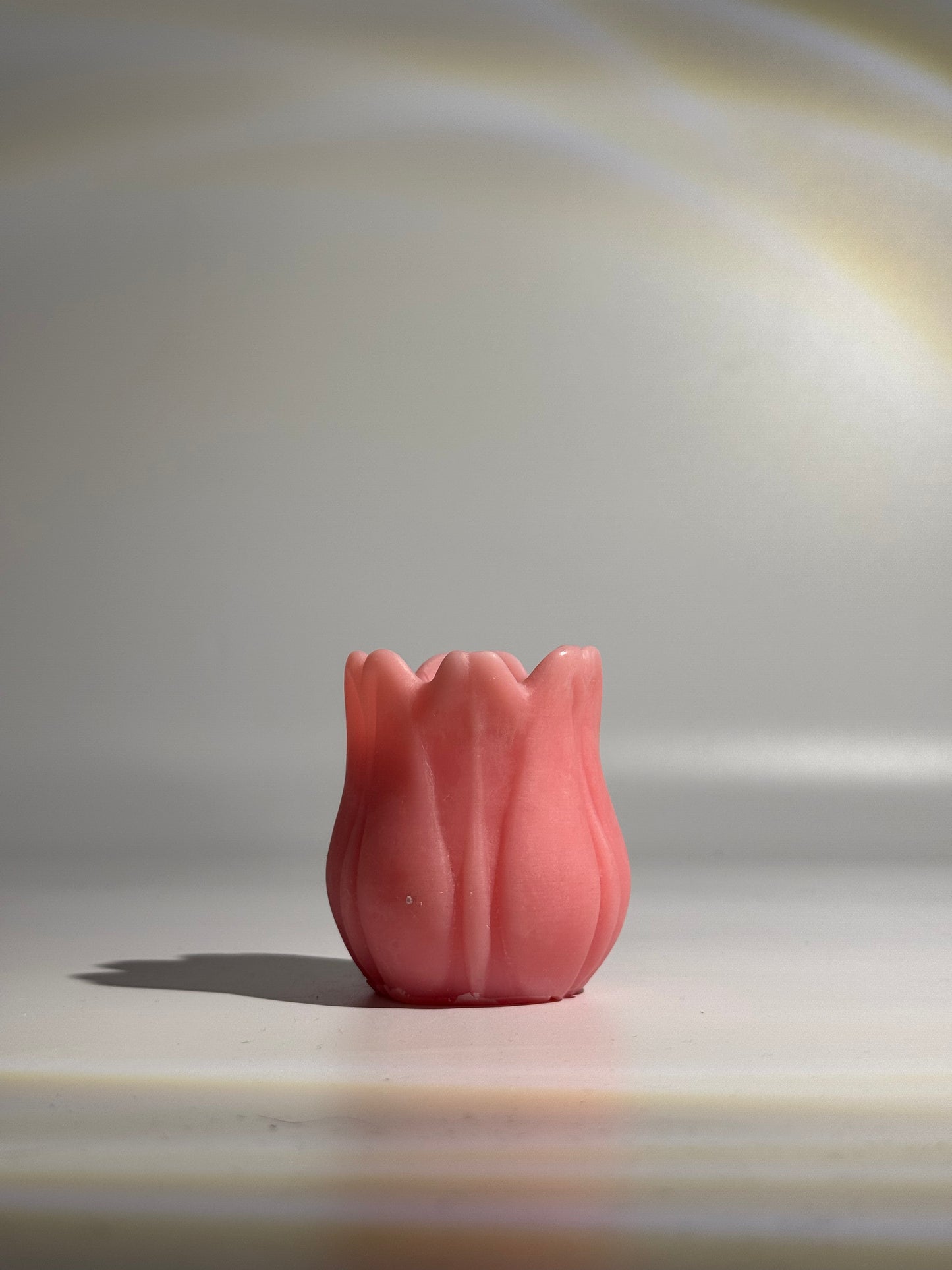 La tulipe