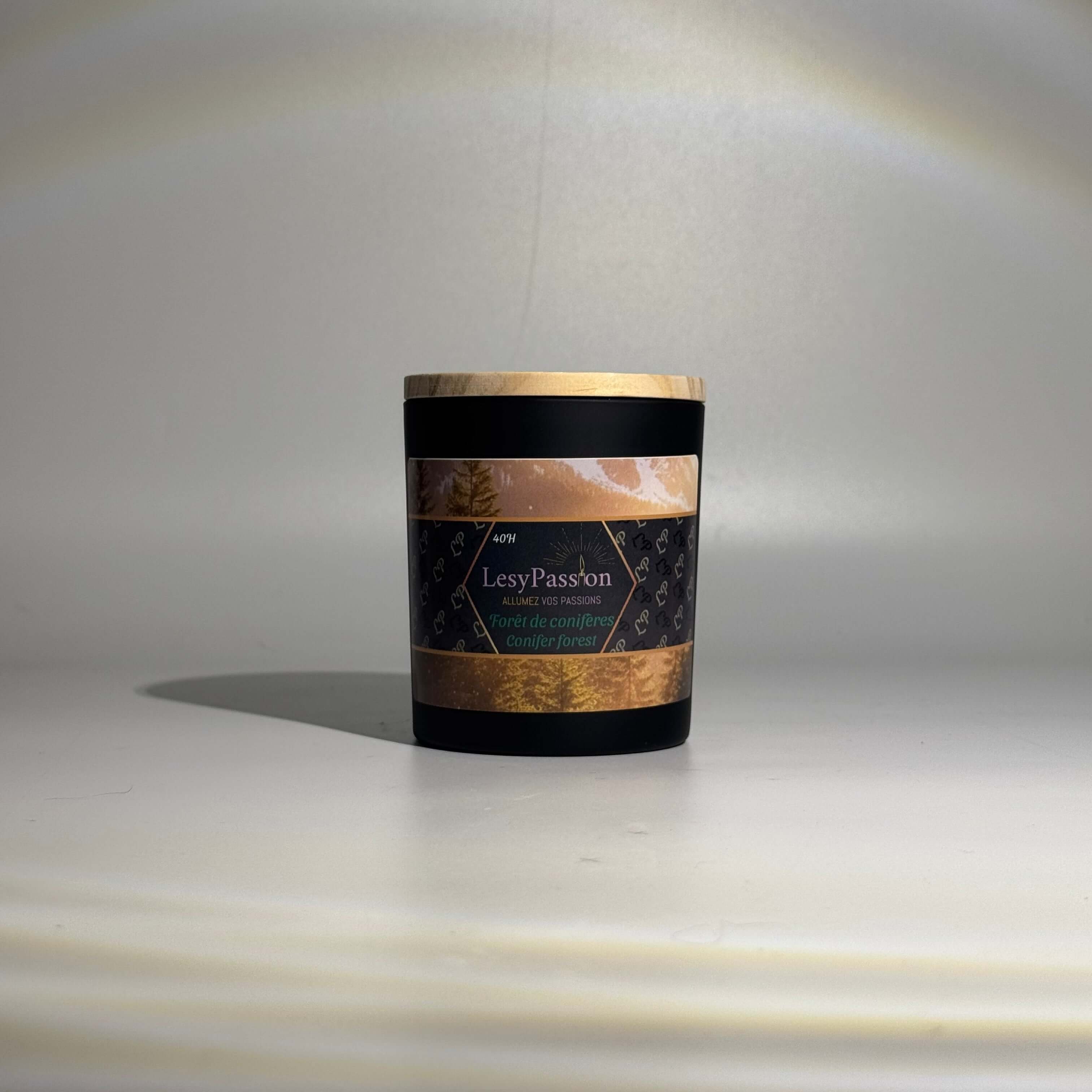 Forêt de conifères