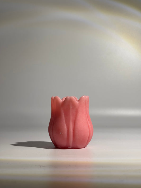 La tulipe